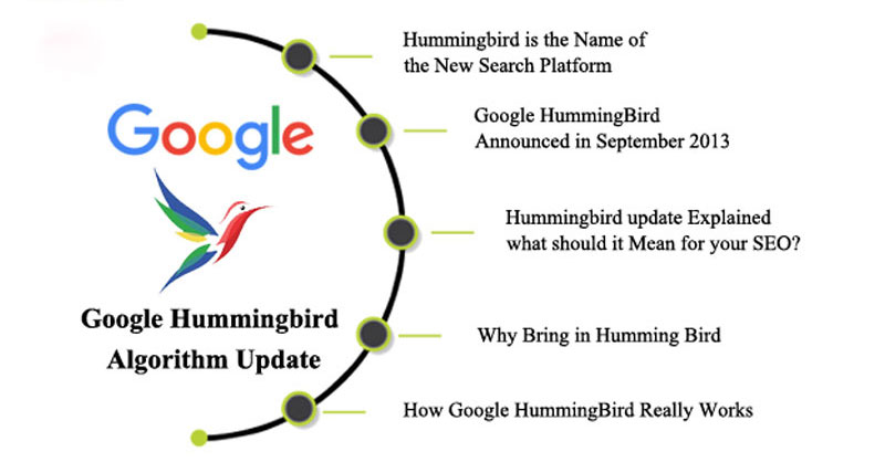 Thuật toán Hummingbird và cách lên Rank TOP 1